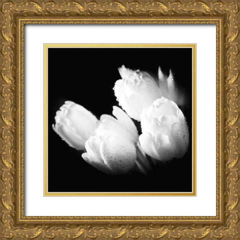 Water Droplets on White Tulips Gold Ornate Wood Framed Art Print with Double Matting by Bednarek, M.