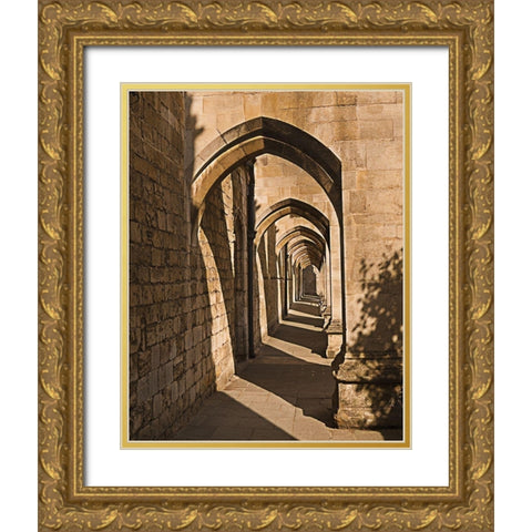 Cloister Arches Gold Ornate Wood Framed Art Print with Double Matting by Anonymous