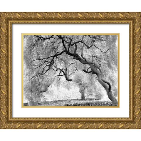 Enchanted Forest Gold Ornate Wood Framed Art Print with Double Matting by Anonymous