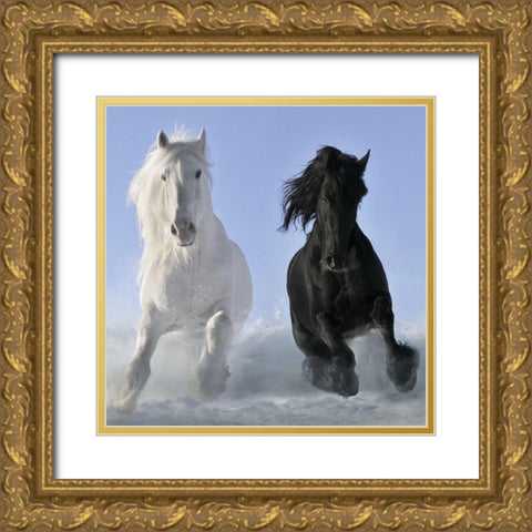 Salt And Pepper (detail) Gold Ornate Wood Framed Art Print with Double Matting by Makarova