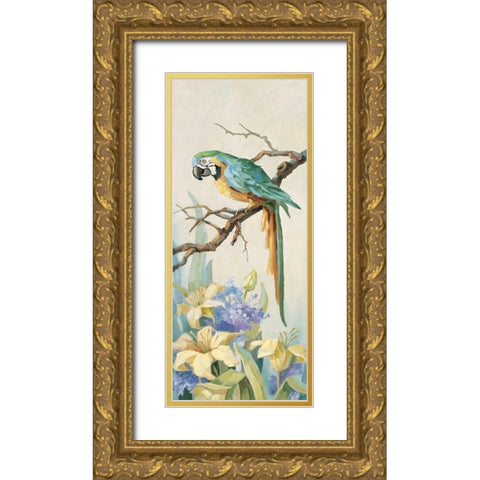 Parrot Panel II Gold Ornate Wood Framed Art Print with Double Matting by Unknown