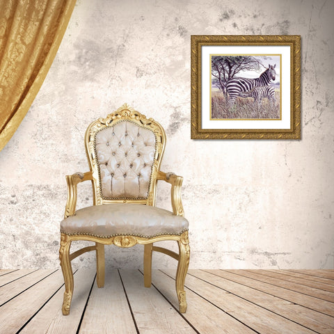 Zebras Gold Ornate Wood Framed Art Print with Double Matting by Unknown