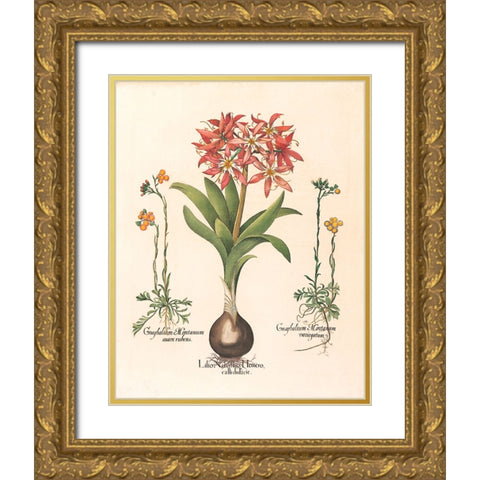 Lily Botanical Gold Ornate Wood Framed Art Print with Double Matting by Unknown