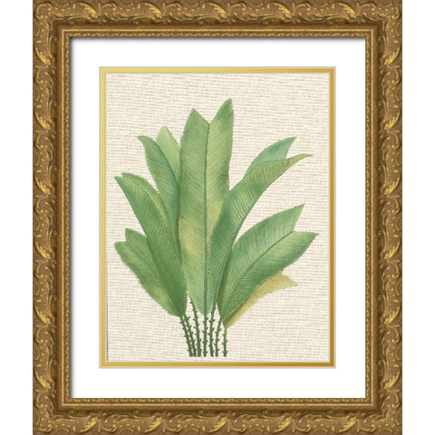 Palm Fronds I Gold Ornate Wood Framed Art Print with Double Matting by Unknown