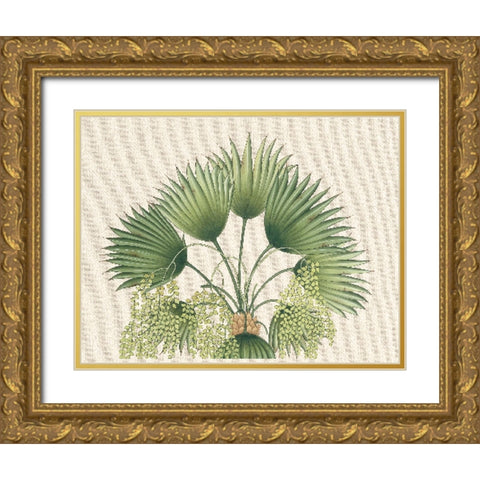 Palm Fronds II Gold Ornate Wood Framed Art Print with Double Matting by Unknown