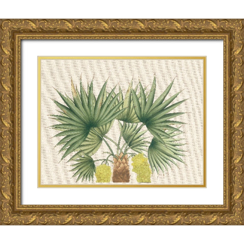 Palm Fronds III Gold Ornate Wood Framed Art Print with Double Matting by Unknown