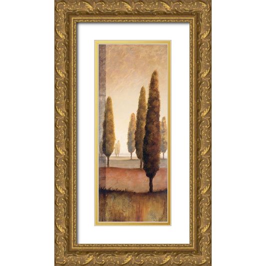 Perspective Image