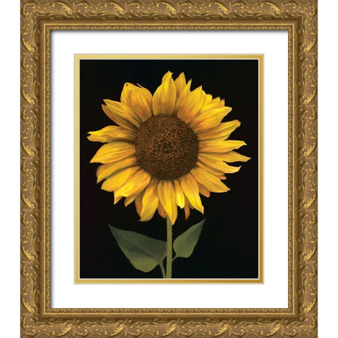 Sunflower I Gold Ornate Wood Framed Art Print with Double Matting by Unknown