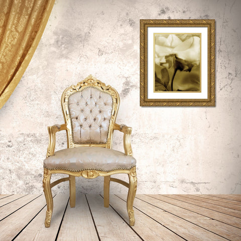 Flower Focus I Gold Ornate Wood Framed Art Print with Double Matting by Unknown