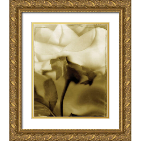 Flower Focus I Gold Ornate Wood Framed Art Print with Double Matting by Unknown