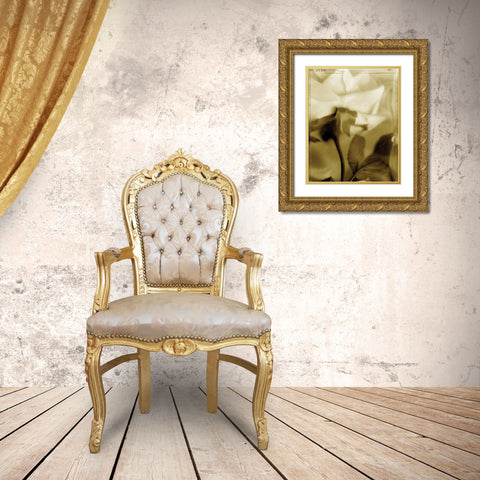 Flower Focus II Gold Ornate Wood Framed Art Print with Double Matting by Unknown