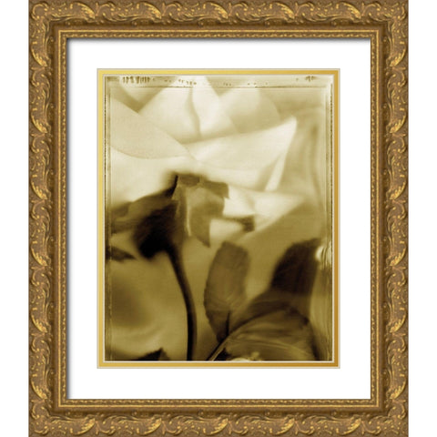 Flower Focus II Gold Ornate Wood Framed Art Print with Double Matting by Unknown