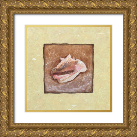 Conch Shell Gold Ornate Wood Framed Art Print with Double Matting by Unknown
