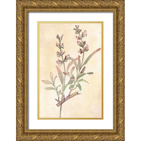 Sage Gold Ornate Wood Framed Art Print with Double Matting by Unknown