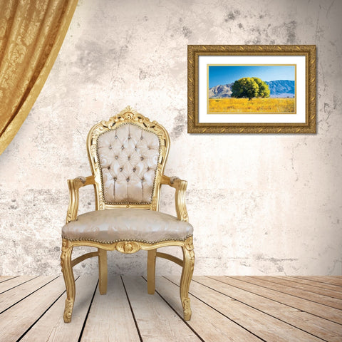 Tree on Mountain Gold Ornate Wood Framed Art Print with Double Matting by Unknown