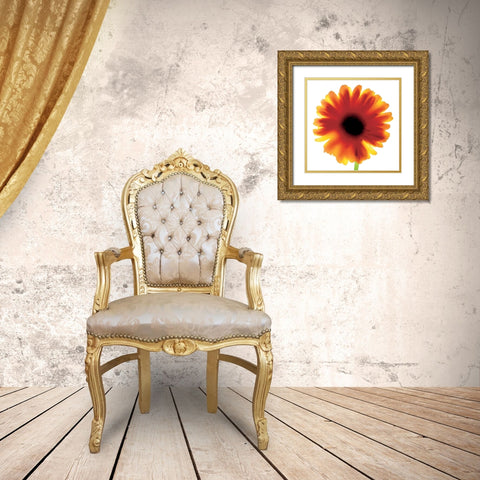 Floral I Gold Ornate Wood Framed Art Print with Double Matting by Unknown