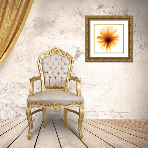 Floral III Gold Ornate Wood Framed Art Print with Double Matting by Unknown