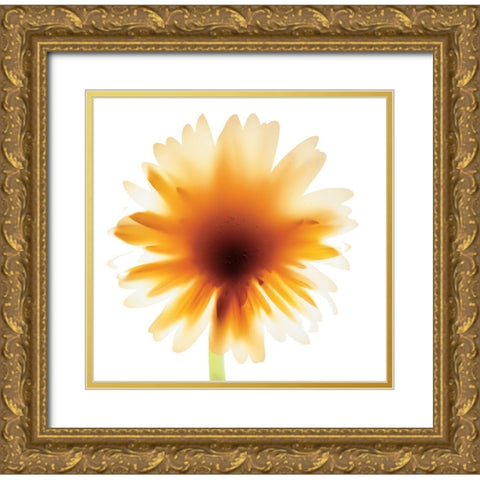 Floral III Gold Ornate Wood Framed Art Print with Double Matting by Unknown