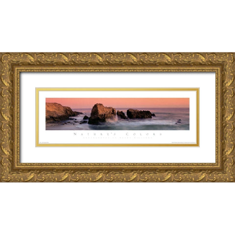 Rocks on Shore Gold Ornate Wood Framed Art Print with Double Matting by Unknown
