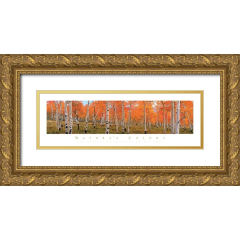 Autumn Trees Gold Ornate Wood Framed Art Print with Double Matting by Unknown