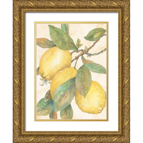 Hanging Lemons Gold Ornate Wood Framed Art Print with Double Matting by Unknown