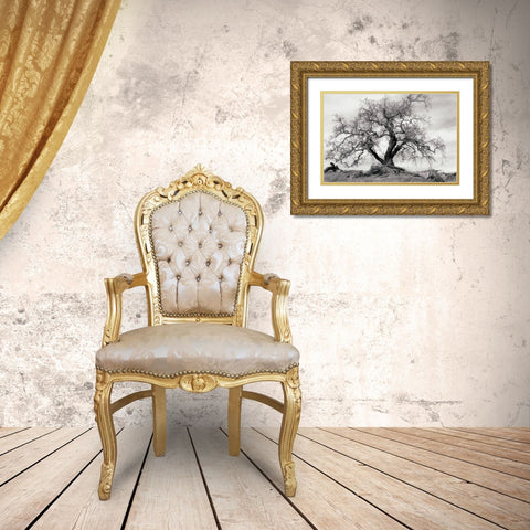 Crab Apple Tree Gold Ornate Wood Framed Art Print with Double Matting by Unknown