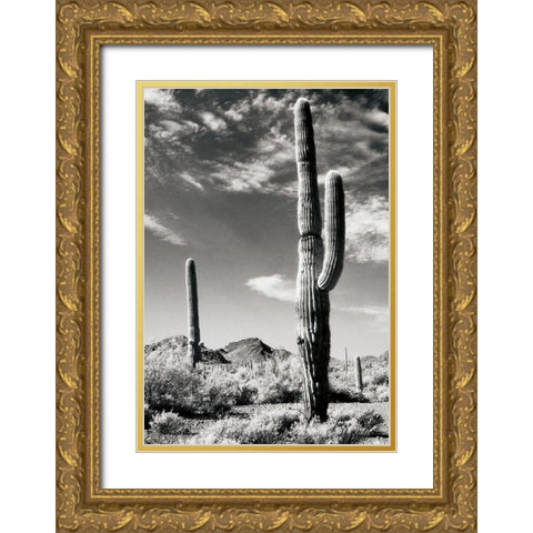 Cactus Gold Ornate Wood Framed Art Print with Double Matting by Unknown