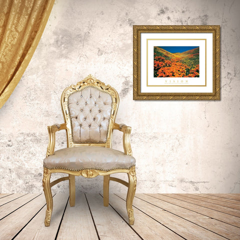 Vision - Edelweiss Flowers Gold Ornate Wood Framed Art Print with Double Matting by Unknown