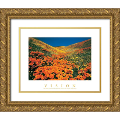 Vision - Edelweiss Flowers Gold Ornate Wood Framed Art Print with Double Matting by Unknown