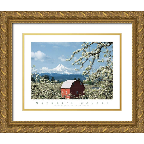 Red Barn and Apple Blossoms Gold Ornate Wood Framed Art Print with Double Matting by Unknown