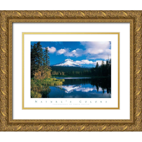 Reflections Mountain in Lake Gold Ornate Wood Framed Art Print with Double Matting by Unknown