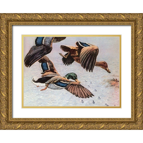 Sitting Ducks Gold Ornate Wood Framed Art Print with Double Matting by Unknown