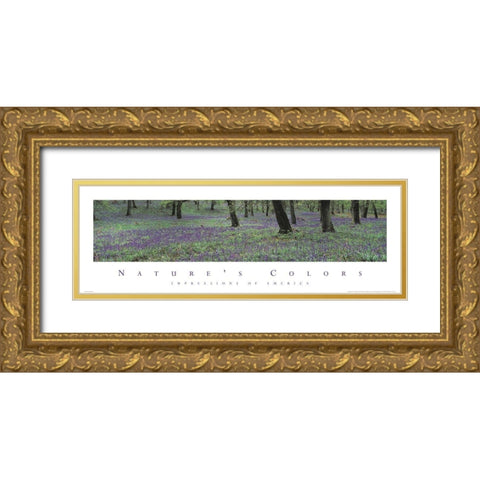 Natures Colors Purple Flowers Gold Ornate Wood Framed Art Print with Double Matting by Unknown