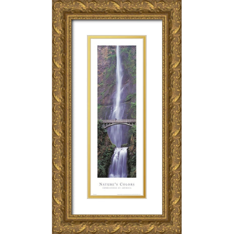 Natures Colors Waterfall Gold Ornate Wood Framed Art Print with Double Matting by Unknown