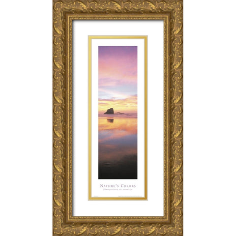 Natures Colors Beach Gold Ornate Wood Framed Art Print with Double Matting by Unknown