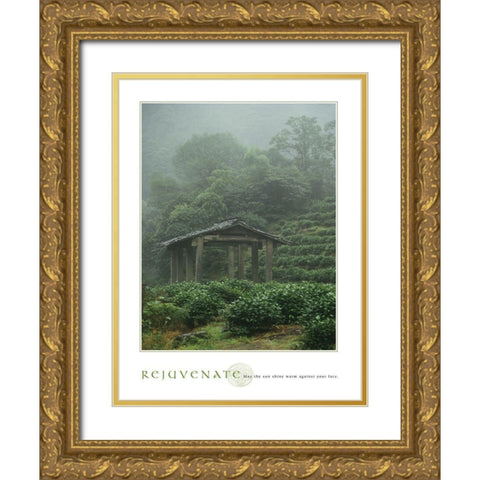 Rejuvenate - Pagoda Gold Ornate Wood Framed Art Print with Double Matting by Frontline