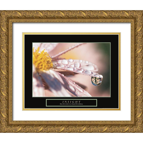 Insight - Dewdrop Gold Ornate Wood Framed Art Print with Double Matting by Frontline