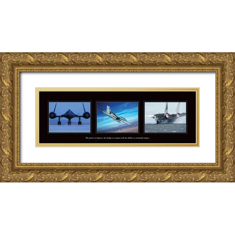 Airpower Gold Ornate Wood Framed Art Print with Double Matting by Frontline