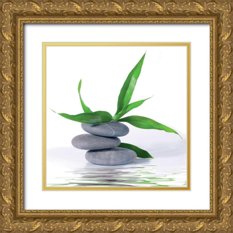 Aqua III Gold Ornate Wood Framed Art Print with Double Matting by BRAUN Studio