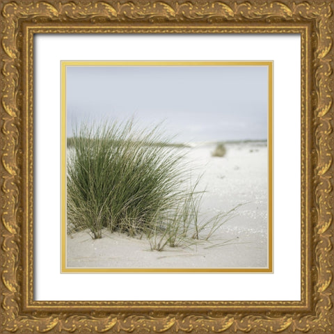 Plage 6 Gold Ornate Wood Framed Art Print with Double Matting by Braun Studio