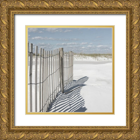 Plage 9 Gold Ornate Wood Framed Art Print with Double Matting by Braun Studio
