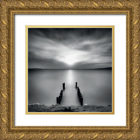 Ponton 5 Gold Ornate Wood Framed Art Print with Double Matting by Braun Studio