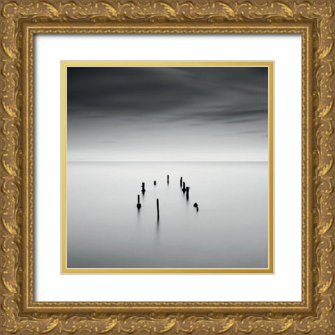 SÃ©renitÃ© Gold Ornate Wood Framed Art Print with Double Matting by Braun Studio