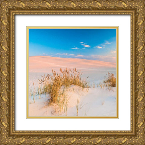 Plage 14 Gold Ornate Wood Framed Art Print with Double Matting by Braun Studio