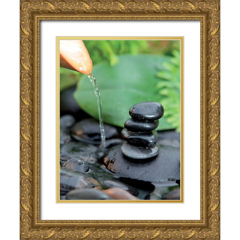 Aqua II Gold Ornate Wood Framed Art Print with Double Matting by BRAUN Studio