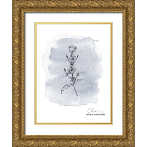 Planche botanique 1 Gold Ornate Wood Framed Art Print with Double Matting by Braun Studio