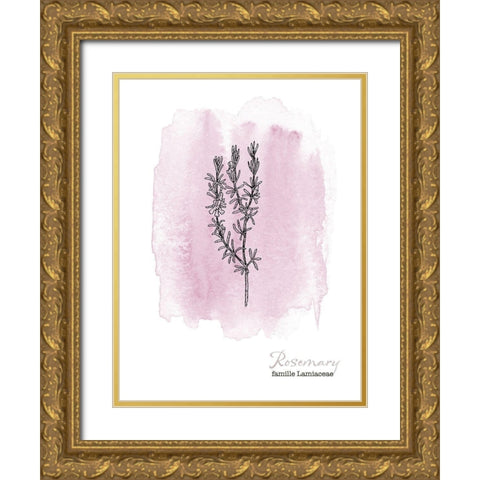 Planche botanique 2 Gold Ornate Wood Framed Art Print with Double Matting by Braun Studio