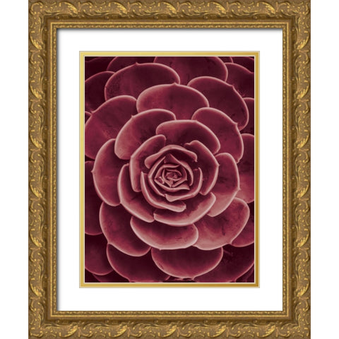 Cactus flower Gold Ornate Wood Framed Art Print with Double Matting by Braun Studio