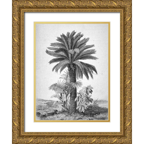 Palmier Gold Ornate Wood Framed Art Print with Double Matting by BRAUN Studio