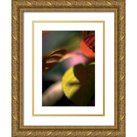 Feuilles Prunus 1 Gold Ornate Wood Framed Art Print with Double Matting by Ayrault, Marc